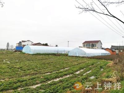 冷水镇鲍岗村创新“网格+产业+积分制” 激活乡村振兴新动能