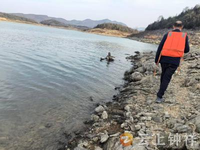 温峡口水库管理处：新春护河守净土 河长履职护安澜
