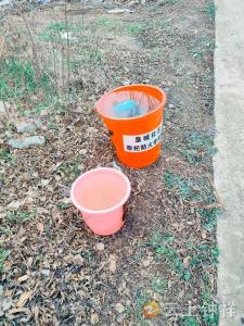 皇庄街道皇城社区：春节祭祀严防火患 筑牢森林防火安全防线