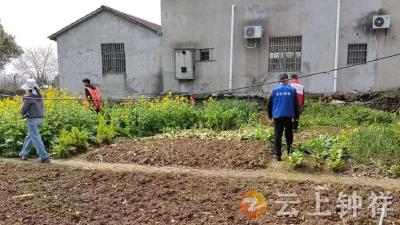 冷水镇百井村扎实开展禁种铲毒排查 全力守护无毒家园