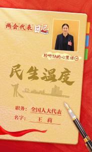 爆火出圈！4名在襄全国人大代表日记公开！