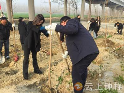 文集镇：植树添新绿 不负好春光