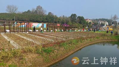 九里回族乡杨桥村开展“共享菜园”集中翻种行动