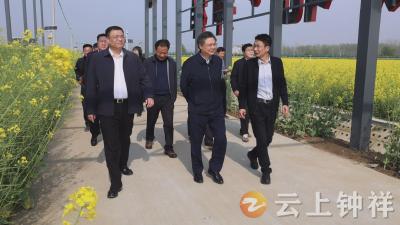 省农业农村厅调研钟祥春季农业生产情况