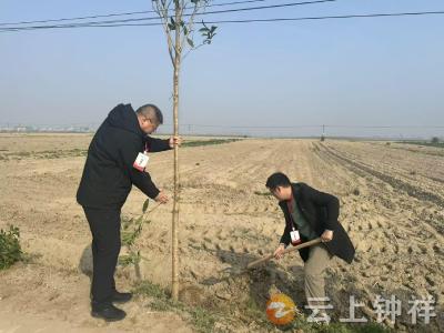 旧口镇：植树添绿美环境 人大代表践初心