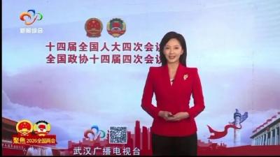 “车谷”如何联动“光谷”？两会代表传回“武汉声音”