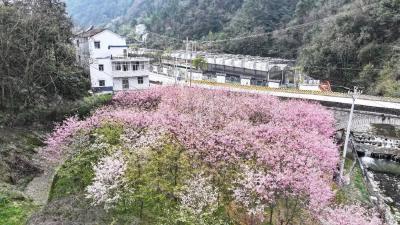 一辆车、一顿饭背后的山乡幸福蝶变