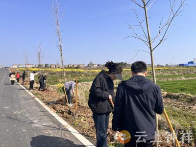 共植“四好”农村路 绿满洋梓四季春
