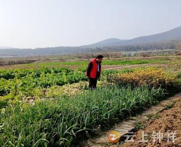 客店镇南庄村：筑牢“无毒防护网” 守护乡村净土