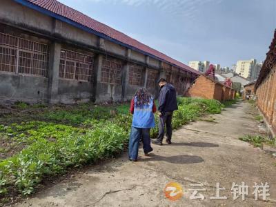 郢中街道宫塘社区开展罂粟踏查行动 筑牢禁种铲毒防线