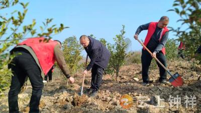 长滩镇开展义务植树活动 为美丽家园添新绿