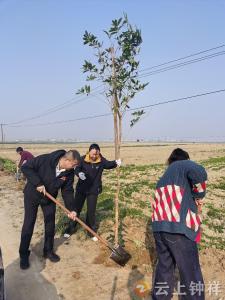 旧口镇：植绿美家园 共绘生态卷