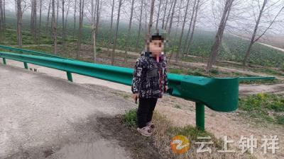 柴湖镇黄岔堤村：网格“两员”伸援手 走失男童平安归家