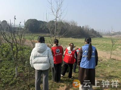 皇庄街道皇城社区开展春季罂粟踏查 筑牢禁毒防线