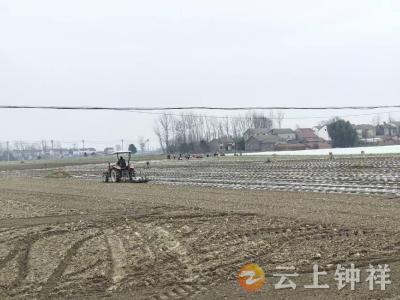 胡集镇：多点发力抓春耕 铆足干劲保丰收