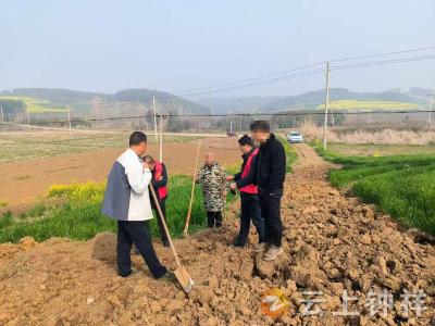长寿镇普门村：地界损毁闹纠纷 网格调解促和睦
