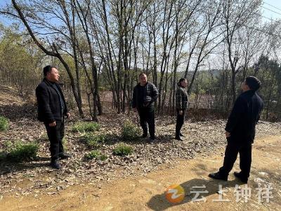 山路弯弯履职情——张集镇人大代表开展森林防灭火专项活动