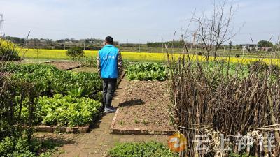 九里回族乡王岭村：“包联+踏查”织密禁种铲毒防护网