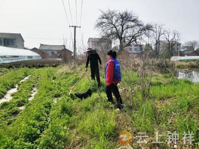 冷水镇鲍岗村：网格员快速响应，高效化解农田积水难题