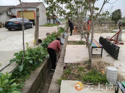 长寿镇刘畈村：“清洁家园”齐上阵 人居环境再提升 