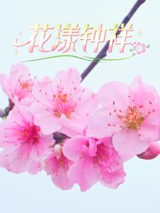 花漾钟祥·春满寿乡(四) - 钟祥、洋梓