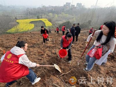 胡集镇：春风催新绿 植树正当时