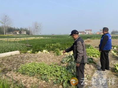 文集镇马桥村开展禁种铲毒行动 筑牢乡村无毒防线