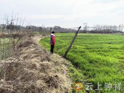 冷水镇郑湾村：网格员巡查除隐患 筑牢安全防护网