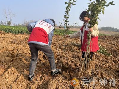 冷水镇松柏村：网格添力植绿忙 干群同心美家园