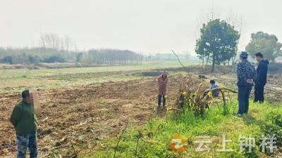 冷水镇铜钱村成功化解多年田地边界矛盾