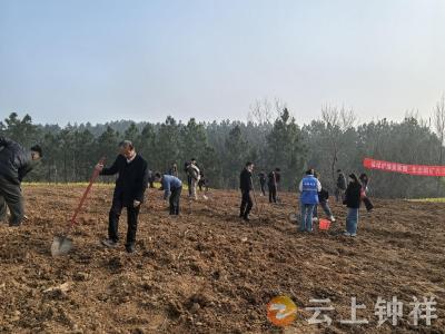 厚植生态底色 共绘绿美画卷——磷矿镇开展2026年义务植树活动