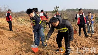 冷水镇开展义务植树活动 助力生态修复