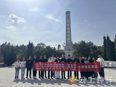 缅怀先烈 汲取力量——冷水镇中心卫生院与上级医院联合开展清明祭英烈主题党日活动