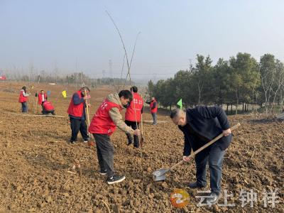 石牌镇开展义务植树活动 为“绿满钟祥再提升”添绿增彩