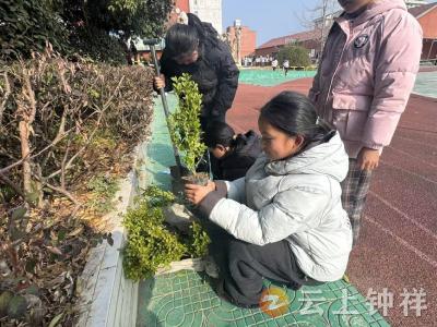 张集小学：植树添绿 共筑生态梦