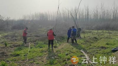 石牌镇姚台村：荒地植绿添新景 干群携手绘就绿美乡村