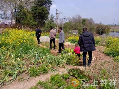 东桥镇沈集村开展禁种铲毒专项行动 小网格守牢无毒防线