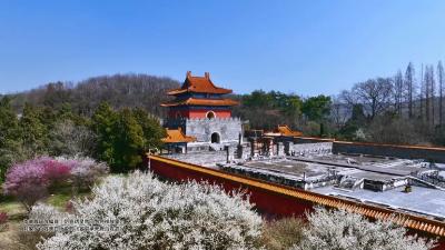 承天府的家书！#湖北钟祥#明显陵