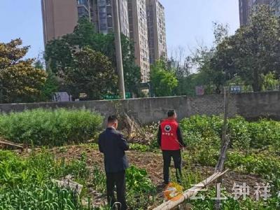 皇庄街道茶庵社区：网格护净土 踏查筑防线
