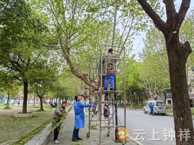 胡集镇金牛山社区：网格听民声 服务暖民心