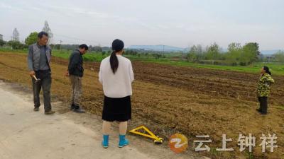 长滩镇电站村：网格员巧解农田地界纠纷