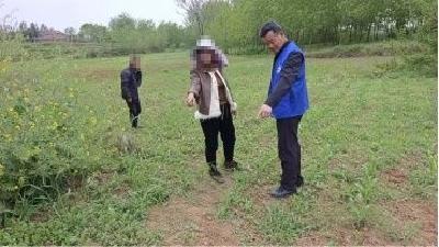 冷水镇杨岭村：贴心调解化纠纷 绘就和美乡村新底色