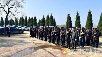 清明祭英烈 网格践初心——九里回族乡开展集中祭扫活动