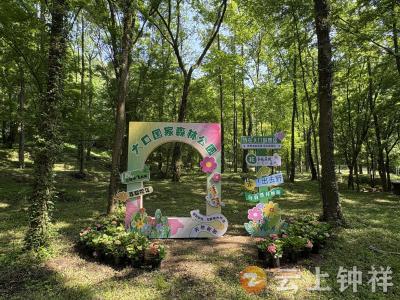 大口国家森林公园：扮靓景区迎五一 安全焕新待客来
