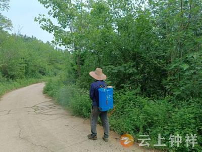 文集镇张垱村：除杂清芜在行动 乡村颜值正提升