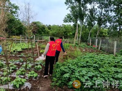 长寿镇普门村：踏查宣传守净土 志愿服务护乡村