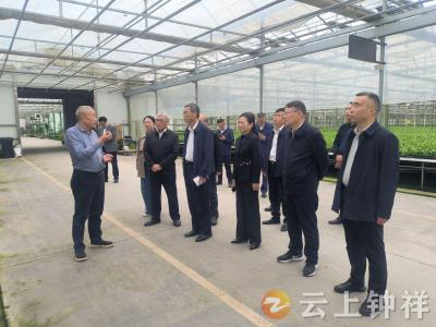 江西省政协调研组来钟祥调研