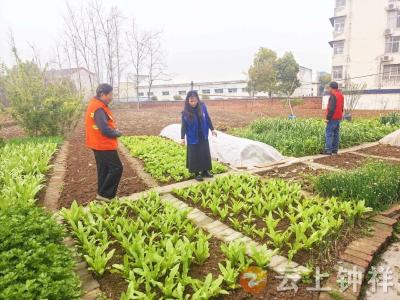 网格织密禁毒网——双河镇乐乡关村筑牢禁种铲毒“防火墙”