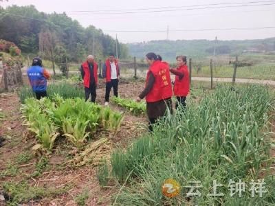 张集镇张畈村开展禁种铲毒专项巡查 筑牢禁毒“防火墙”