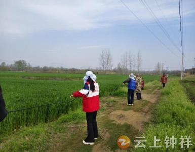 冷水镇郑湾村：抗旱架线齐出力 积分激励聚民心